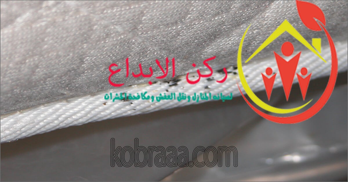 شركة مكافحة البق بالباحه
