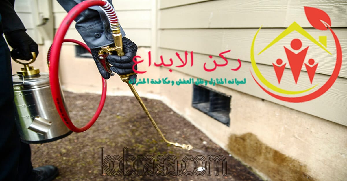 شركة مكافحة النمل الابيض بالرياض