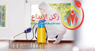 شركة رش مبيدات بالاحساء