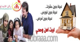 شركة مكافحة حشرات بالخبر