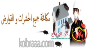 شركة رش مبيدات بالدمام