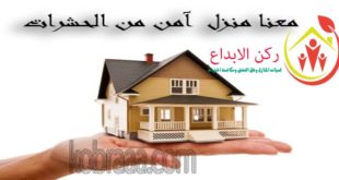 شركة رش مبيدات بالدمام