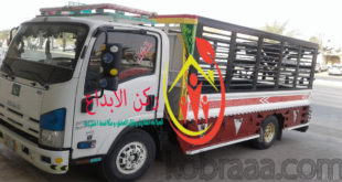 شركة نقل أثاث بالجبيل
