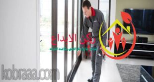 شركة مكافحة حشرات بالباحة