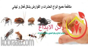 شركة رش مبيدات بالاحساء