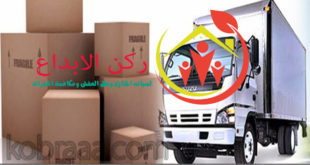 شركة نقل أثاث بالباحة