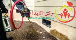 شركة مكافحة النمل الابيض بالدمام