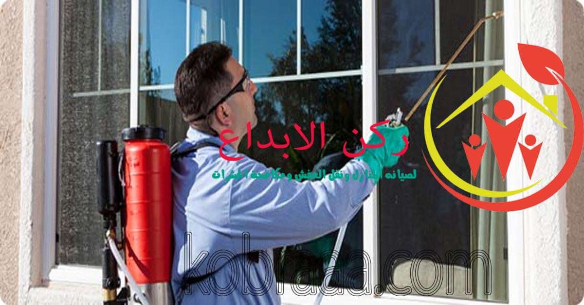 شركة رش مبيدات بالرياض