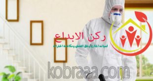 شركة رش مبيدات بالظهران