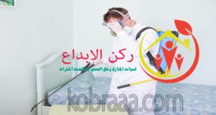 شركة رش مبيدات بالخبر
