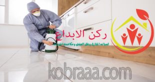 شركة رش مبيدات بمكة
