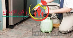 شركة رش مبيدات بجازان