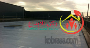 شركة عزل أسطح بالباحه