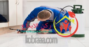 ارخص شركة رش مبيدات بالرياض