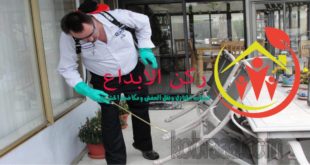 شركة رش مبيدات بالباحه
