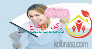 شركة تنظيف ببيشة