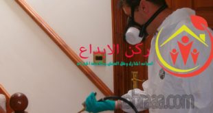 شركة رش مبيدات بالاحساء