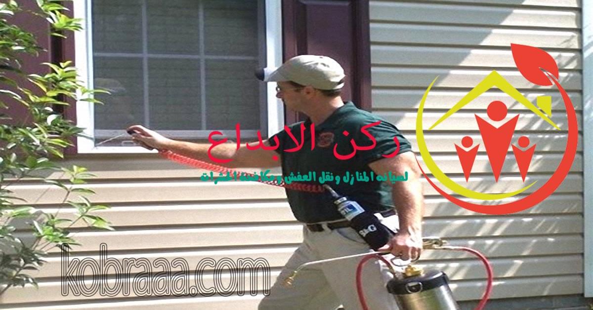 شركة رش مبيدات بالطائف