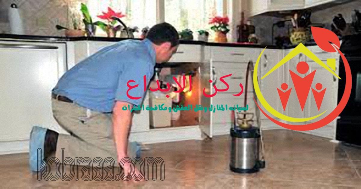 شركة رش مبيدات بالطائف