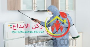 شركة رش مبيدات برأس تنوره