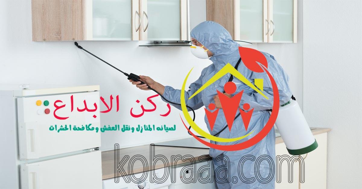 شركة رش مبيدات بالرياض