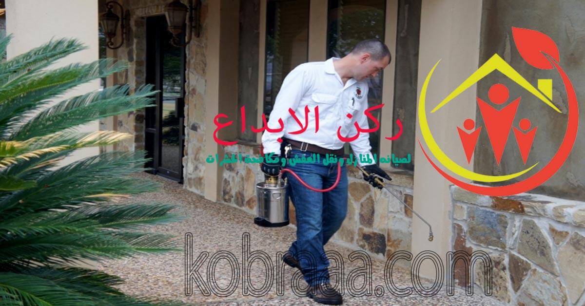 شركة رش مبيدات بالرياض