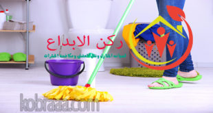 شركة تنظيف بيوت بالباحه