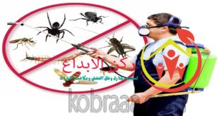 شركة رش مبيدات بالظهران