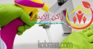 شركة تنظيف شقق بتبوك