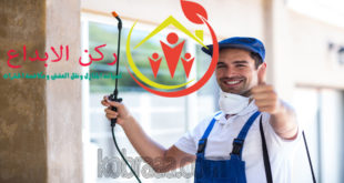 شركة مكافحة النمل الابيض برأس تنوره