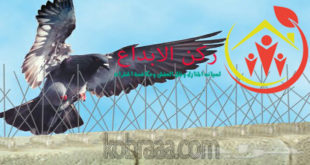 شركة مكافحة الحمام بالرياض