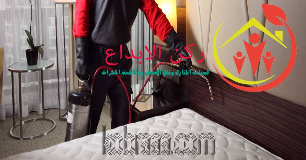 شركة مكافحة حشرات بالرياض