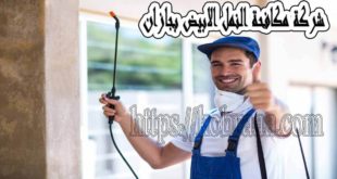 شركة مكافحة النمل الابيض بجازان