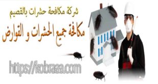 شركة مكافحة حشرات بالقصيم