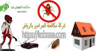 شركة مكافحة الصراصير بالرياض