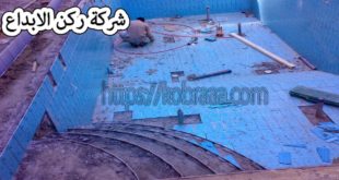 شركة صيانة مسابح بالرياض