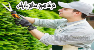شركة تنسيق حدائق بالرياض