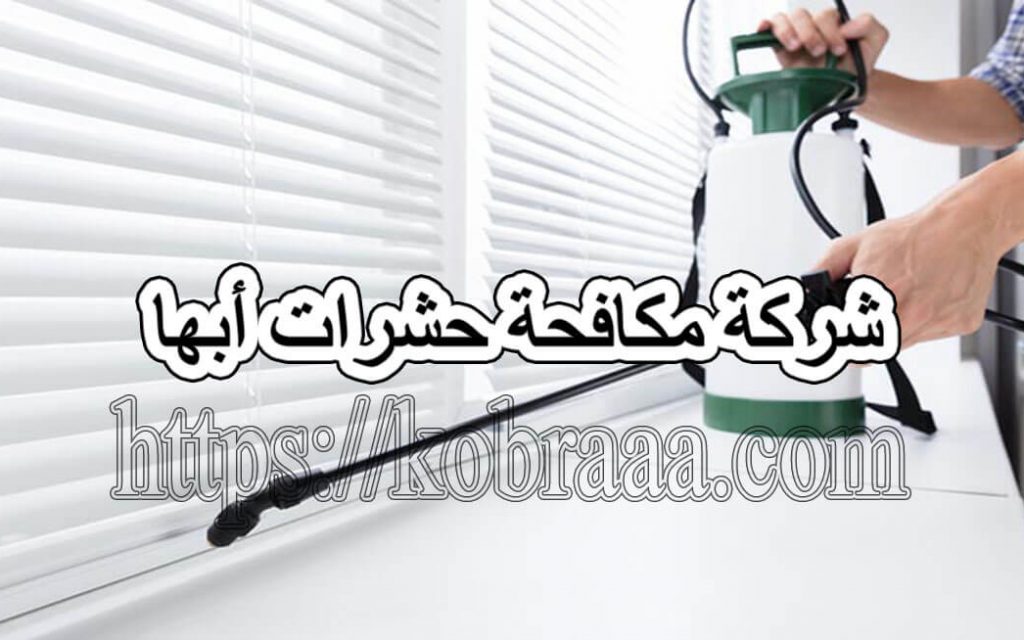 شركة مكافحة حشرات أبها
