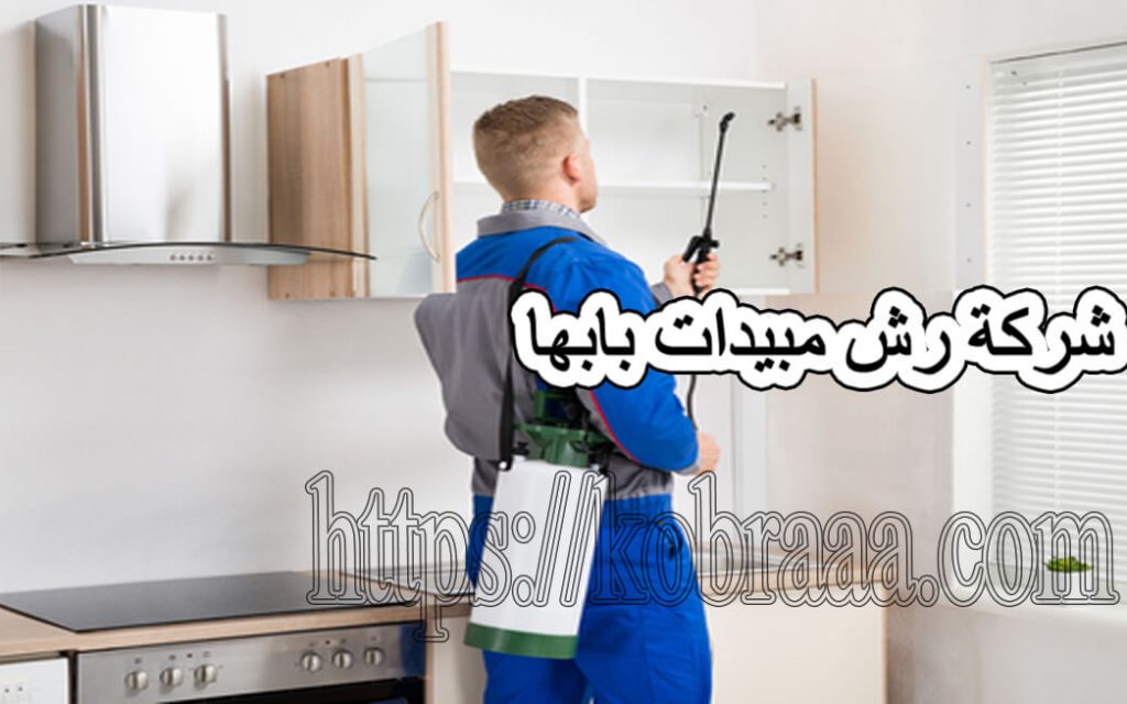 شركة رش مبيدات بأبها