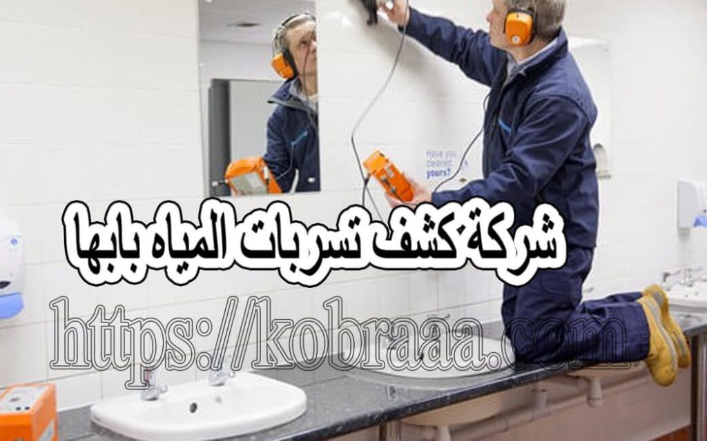 شركة كشف تسربات المياه بأبها