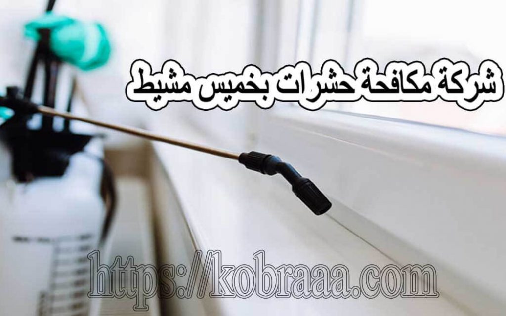 شركة مكافحة حشرات بخميس مشيط