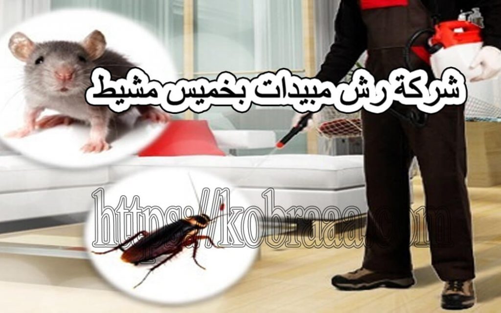 شركة رش مبيدات بخميس مشيط