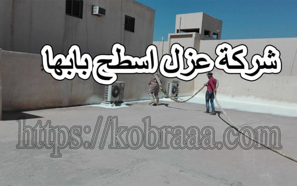 شركة عزل أسطح بأبها