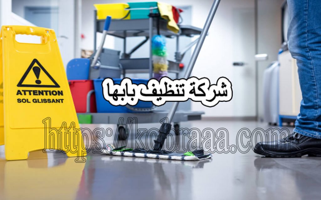 شركة تنظيف بابها