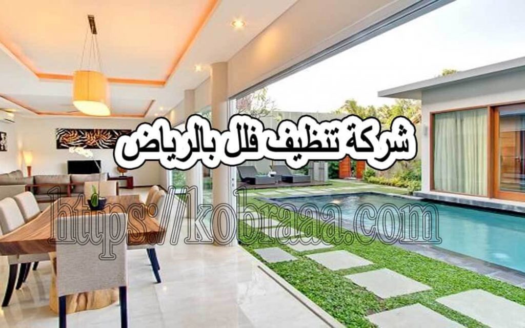 شركة تنظيف فلل بالرياض