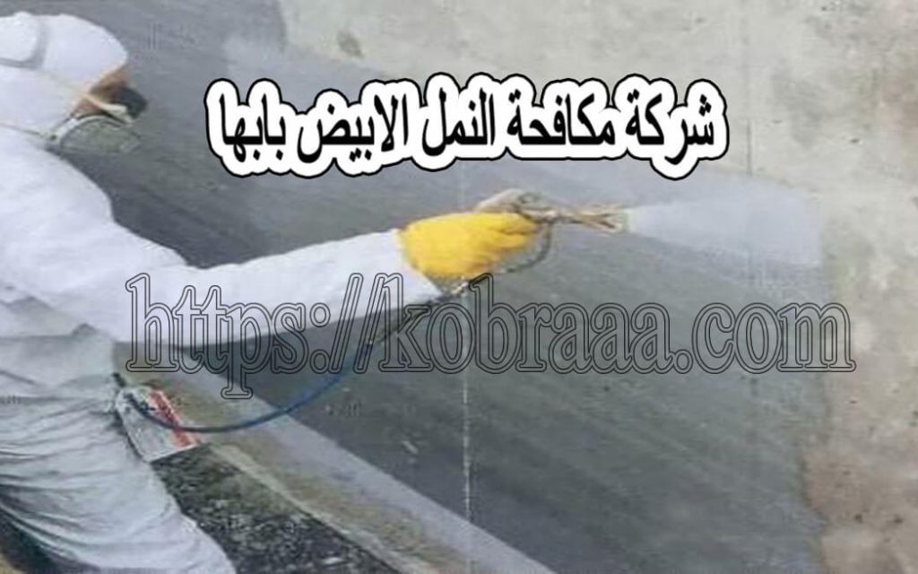 شركة مكافحة النمل الابيض بابها