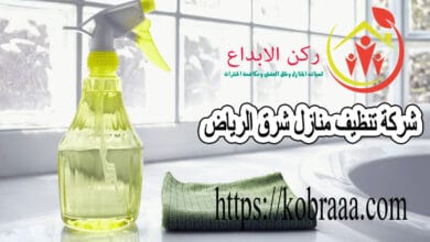 ارخص شركة تنظيف منازل شرق الرياض