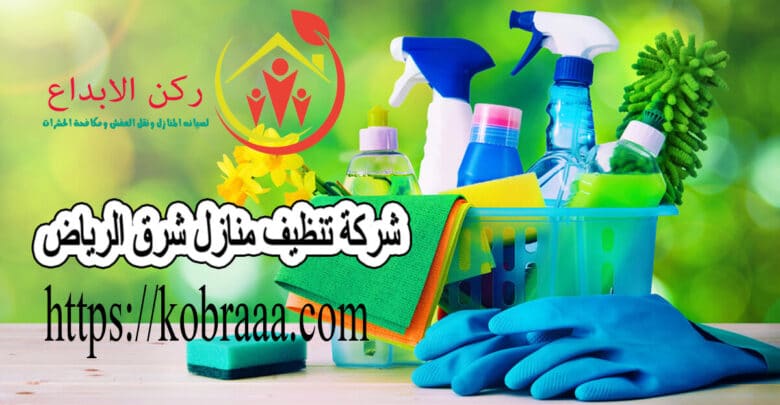 شركة تنظيف منازل